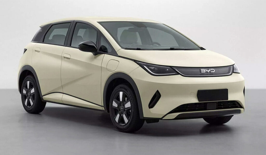 About Us Byd Dolphin