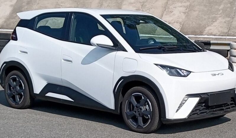 
								BYD Dolphin full									