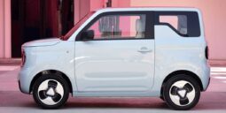 Geely Panda Mini EV